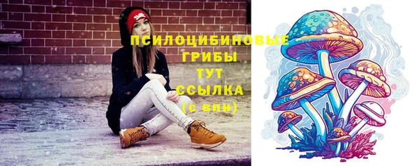 марки nbome Белокуриха