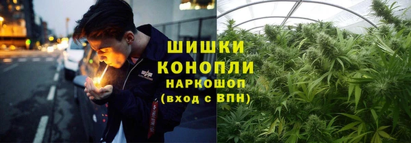 дживик Беломорск